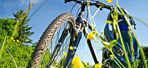 Die Qual der Wahl oder welches Fahrrad kommt für mich infrage Die Qual der Wahl oder welches Fahrrad kommt für mich infrage