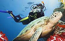 In den Herbstferien unbedingt alle Reisehighlights von Havanna besichtigen!